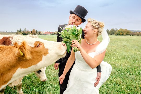 Fanny-Thomas-Landhochzeit-in-der-eigenen-Scheune-Featured