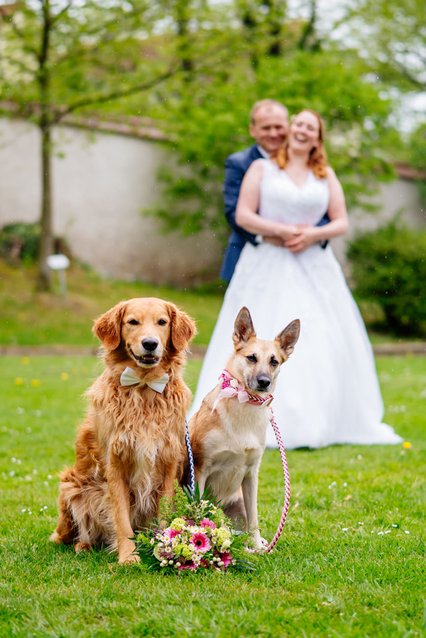 Hochzeitsfotos Dresden und Sachsen heiraten mit Hund.jpg