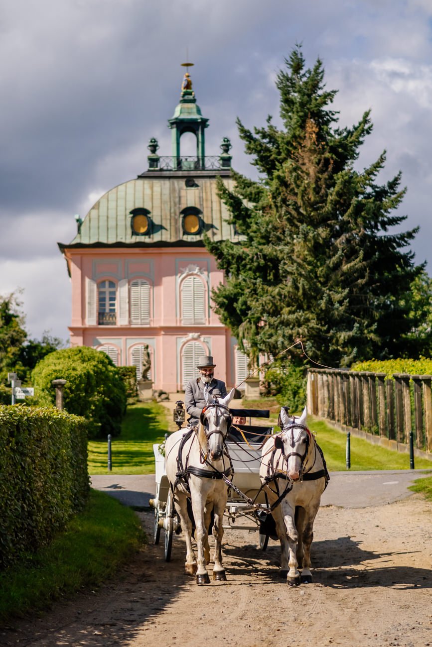 Hochzeitskutsche mit weißen Pferden in Moritzburg