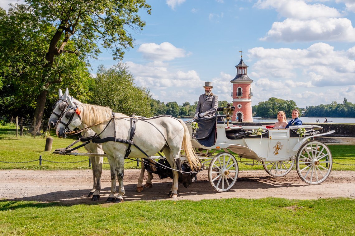 Hochzeitskutsche mit weißen Pferden in Moritzburg