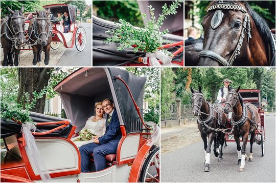 Jana-Daniel-Hochzeit-im-Standesamt-Dresden-und-in-Pillnitz-5.jpg
