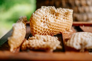 Kirchliche Hochzeit Leipzig Hochzeitsfeier Bienenfarm Kern-016.jpg