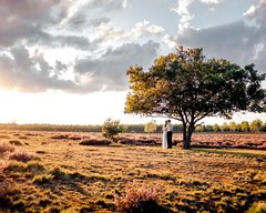 Michelle-Max-Romantisches-Parchenshooting-in-der-Heide-Featured