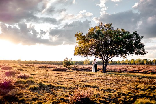 Michelle-Max-Romantisches-Parchenshooting-in-der-Heide-Featured